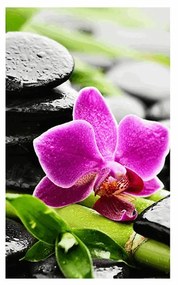 Plagát s paspartou wellness zátišie s fialovou orchideou - 40x60 black