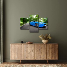 Obraz - Závodné auto (90x60 cm)