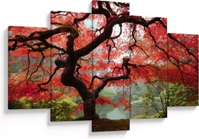Obraz červeného japonského javora, Portland, Oregon (150x105 cm)