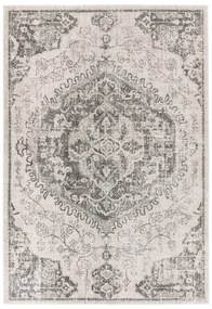 Sivo-krémový koberec 200x290 cm Nova – Asiatic Carpets