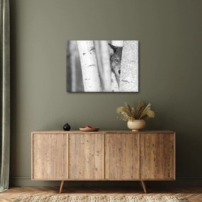 Obraz - Vlk v lese (70x50 cm)