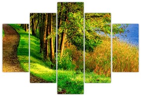 Obraz chodníky pozdĺž vody (150x105 cm)