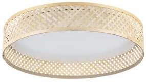 Eglo 900464 - LED Stropné svietidlo LUPPINERIA LED/24W/230V