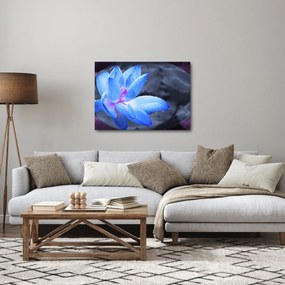 Obraz kvetu v detaile (70x50 cm)
