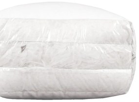 2G Lipov Súprava z peria Down & feather collection - 140x200 / 70x90 cm