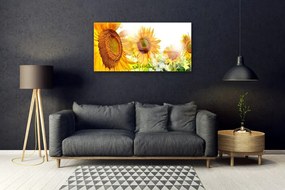Skleneny obraz Slnečnica kvet rastlina 100x50 cm