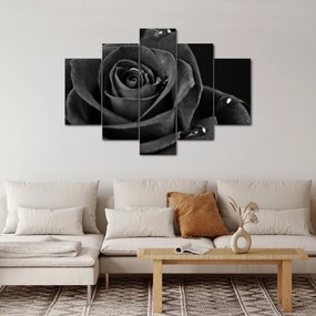 Obraz - Červená ruža (150x105 cm)
