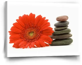 Sablio Obraz Gerbera s kameňmi - 60x40 cm
