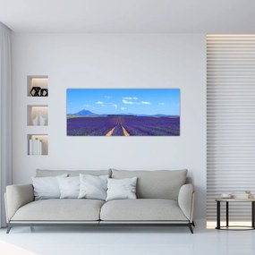 Obraz - Levanduľové pole (120x50 cm)