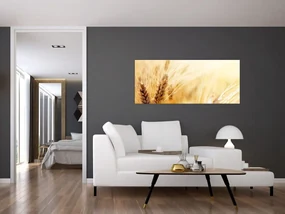Obraz - detail obilia (120x50 cm)