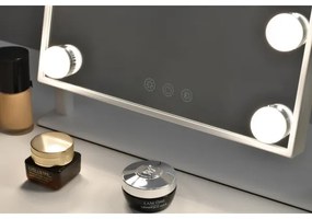 Immax 08984L - LED Stmievateľné kosmetické zrkadielko MUST HAVE LED/12W/230V