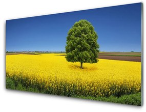 Skleneny obraz Lúka strom príroda pole 120x60 cm