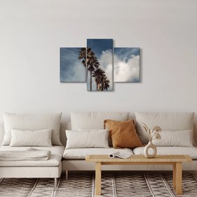 Obraz - Palmová dráma (90x60 cm)