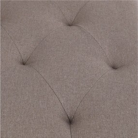 TEMPO KONDELA Tamia leňoška hnedá / čierna