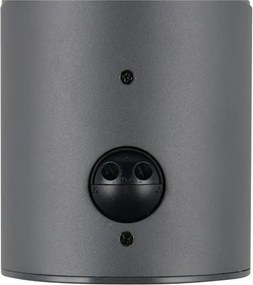 Nástenné vonkajšie svietidlo so senzorom pohybu ø 18 cm Mures – Trio