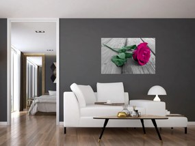 Obraz - Ružová ruža so zelenou stonkou (90x60 cm)