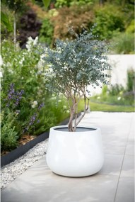 Izbový kvetináč GIRAR, sklolaminát, priemer 42 cm, biely
