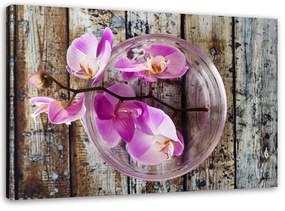 Obraz na plátně Orchidej Květiny Dřevěné lázně - 100x70 cm