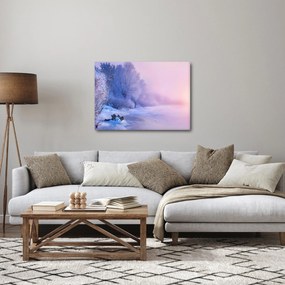 Obraz - Zamrznutá rieka (70x50 cm)