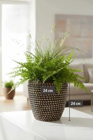 Interiérový kvetináč MASTELLO, ratan, 24x24 cm, natur/čierna