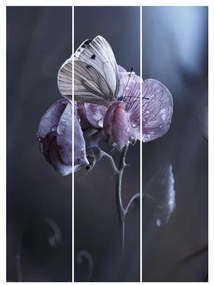 MANUFACTURER -  Súprava posuvnej záclony -Motýľ v daždi -3 panely