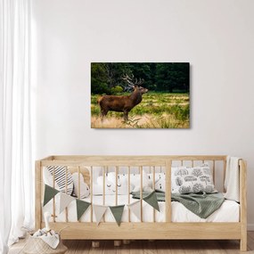 Obraz jeleňa (90x60 cm)