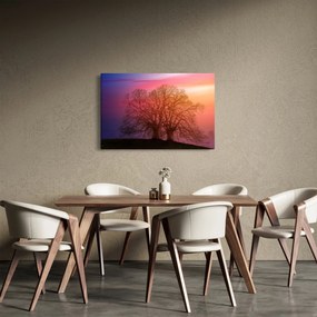 Obraz stromov v hmle (90x60 cm)