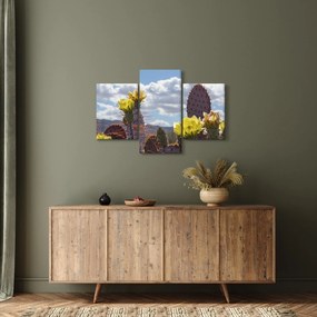 Obraz opuncie (90x60 cm)