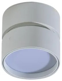 LED bodové svetlo Mona 12W 3000K biele