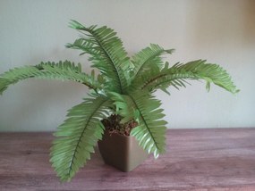 Umelá rastlina- Papraď 40 cm