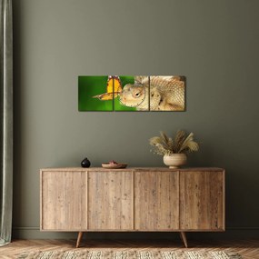 Obraz - Jašter (s hodinami) (90x30 cm)