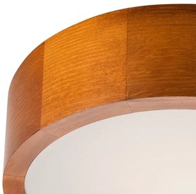 Stropné svietidlo 1xE27/60W/230V