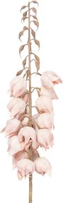 Dekorácia umelá kvetina Yucca s ružovými kvetmi - 12*12*100 cm