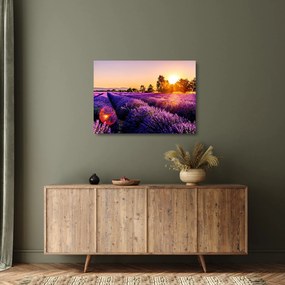 Sklenený obraz levanduľového pole, Provence (70x50 cm)