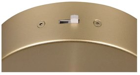 LED závesné svietidlo v zlatej farbe ø 14 cm Cala – Trio Select