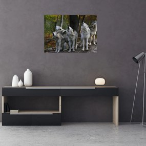 Obraz - Vlci na skale (70x50 cm)