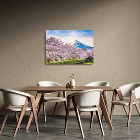 Sklenený obraz - Japonsko na jar (70x50 cm)