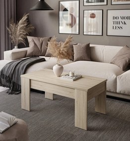 KONFERENČNÝ STOLÍK TIM DUB SONOMA