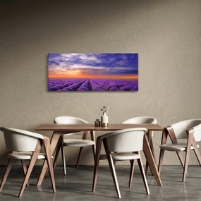 Obraz levanduľového pole (120x50 cm)