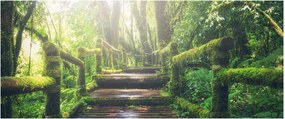 Obraz - drevené schody v lese (120x50 cm)