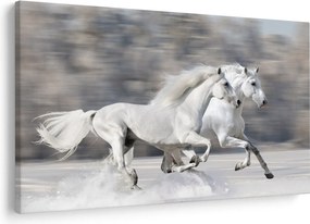 Obraz - Biele kone v zime (90x60 cm)