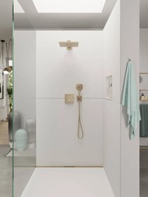 Hansgrohe Raindance Select E, ručná sprcha 120 3jet, kartáčovaný bronz, HAN-26520140