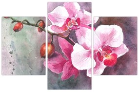 Obraz - Orchidey, aquarel (90x60 cm)