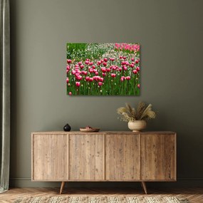 Sklenený obraz tulipánov (70x50 cm)
