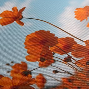 Obraz - Lúčne kvety (120x50 cm)