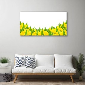 Obraz Canvas Kvety príroda tulipány 125x50 cm