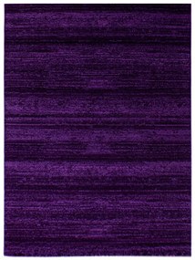 Ayyildiz koberce Kusový koberec Plus 8000 lila - 120x170 cm