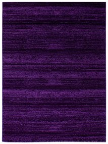 Kusový koberec Plus 8000 lila, 160x230, fialová, chodba / predsieň, Ayyildiz