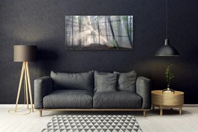Obraz na akrylátovom skle Les príroda 100x50 cm