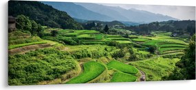 Obraz ryžových polí (120x50 cm)